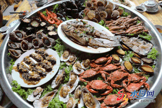 美好夏日带你用快捷方式领略烟台的魅力