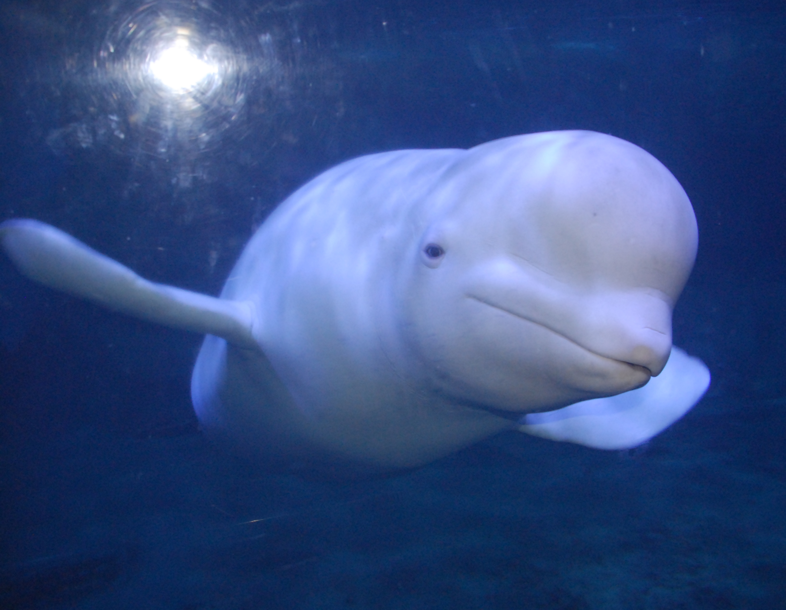 烟台旅游网-景区-旅行社-线路-酒店-美食——尽在水母旅游频道